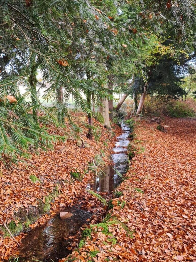 Pied Des Milles Etang - Les Capucins Bed & Breakfast Faucogney-et-la-Mer