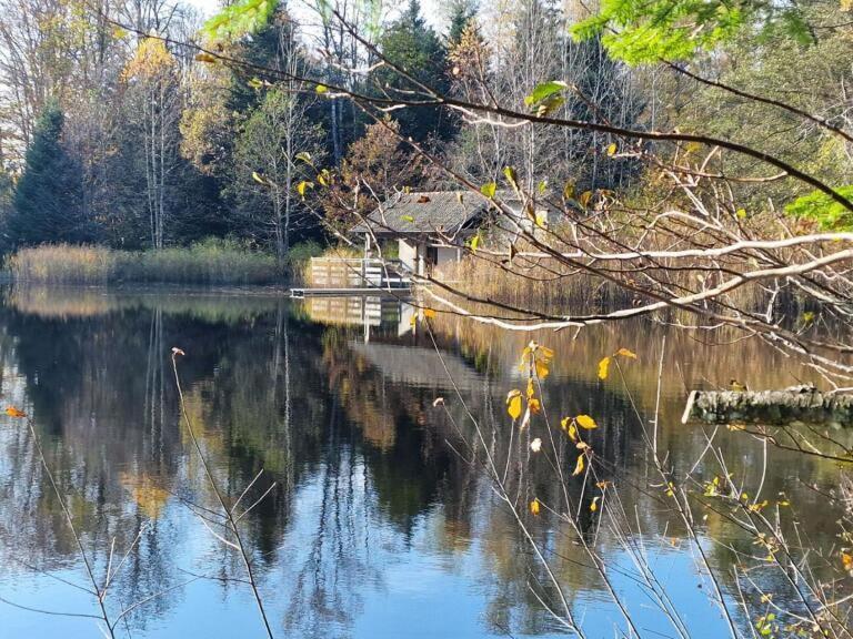 Pied Des Milles Etang - Les Capucins * Faucogney-et-la-Mer